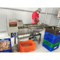 Poultry Gizzard Processing Machine